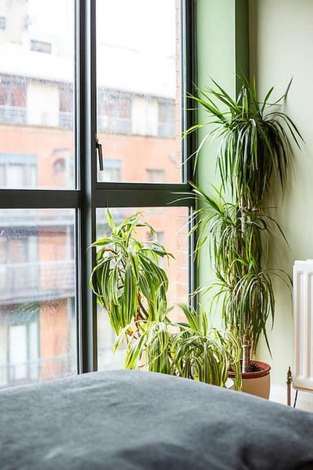 Spacious Belfast City Centre Duplex Apartment Esterno foto